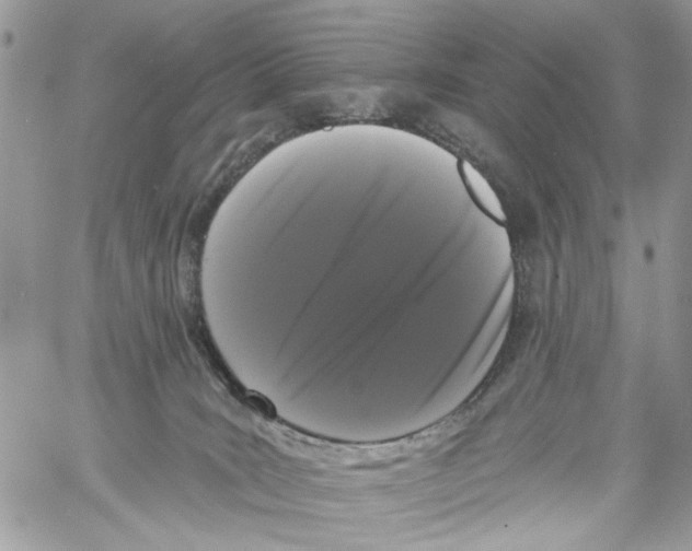 X0000061730035200512302157