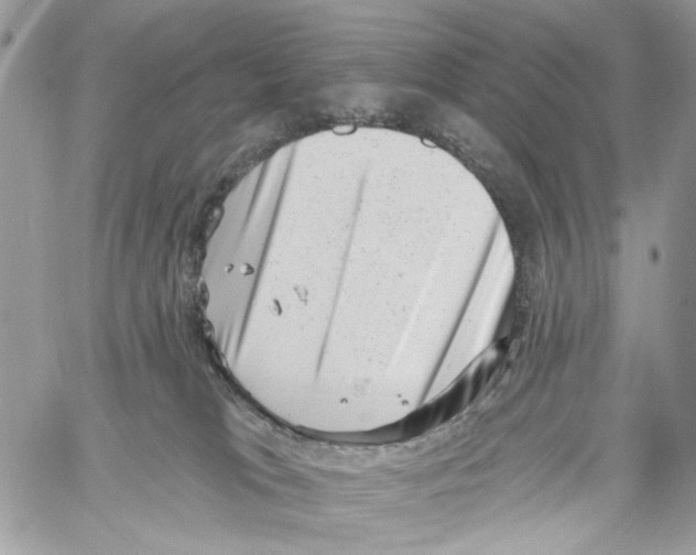 X0000061730037200512302157