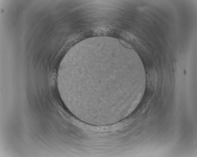 X0000061730038200512302157