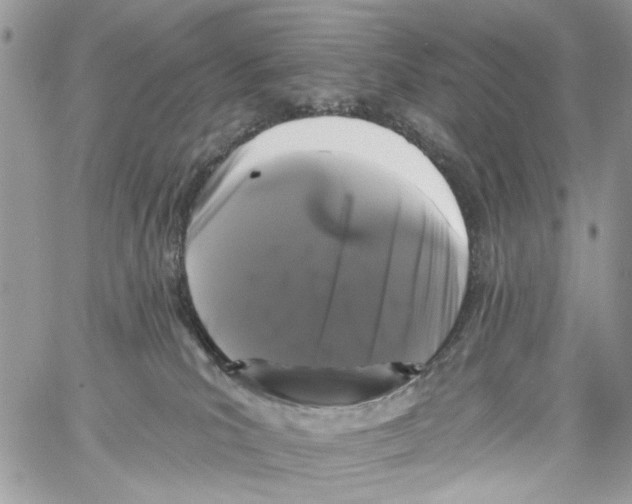 X0000061730039200512302157