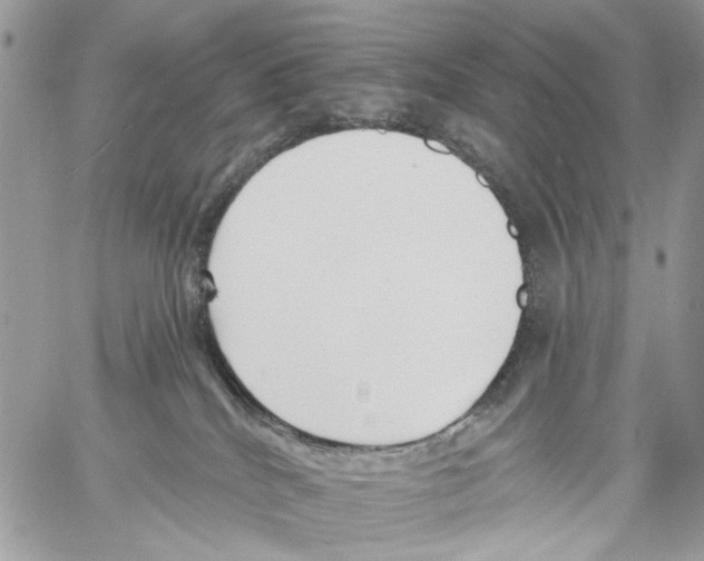 X0000061730040200512302157