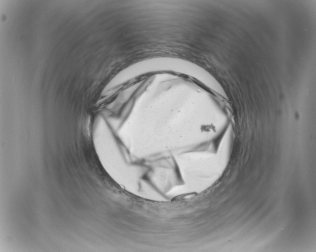 X0000061730041200512302157