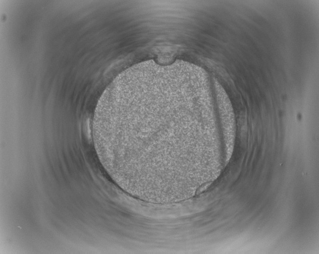 X0000061730042200512302157