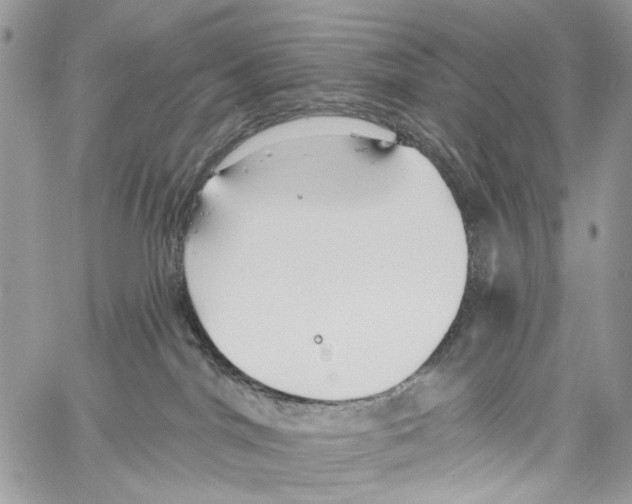 X0000061730044200512302157