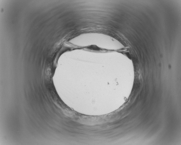 X0000061730045200512302157