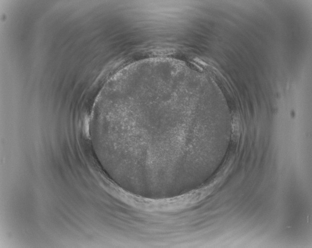 X0000061730046200512302157