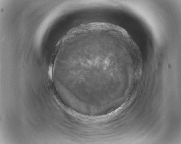 X0000061730047200512302157