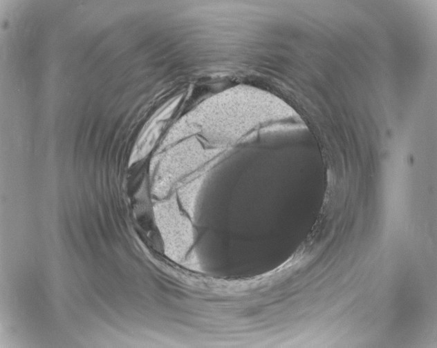 X0000061730048200512302157