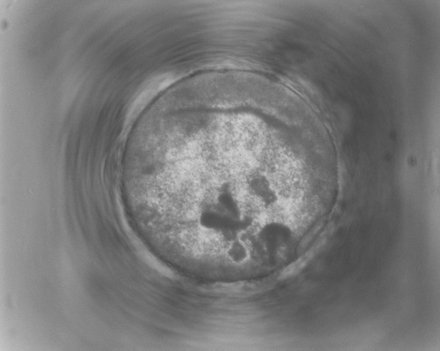 X0000061730049200512302156