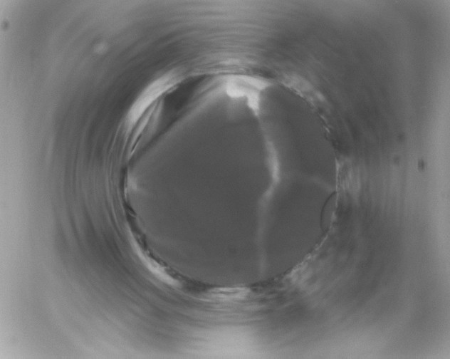 X0000061730051200512302156