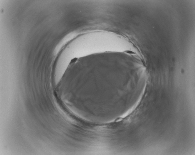 X0000061730054200512302156