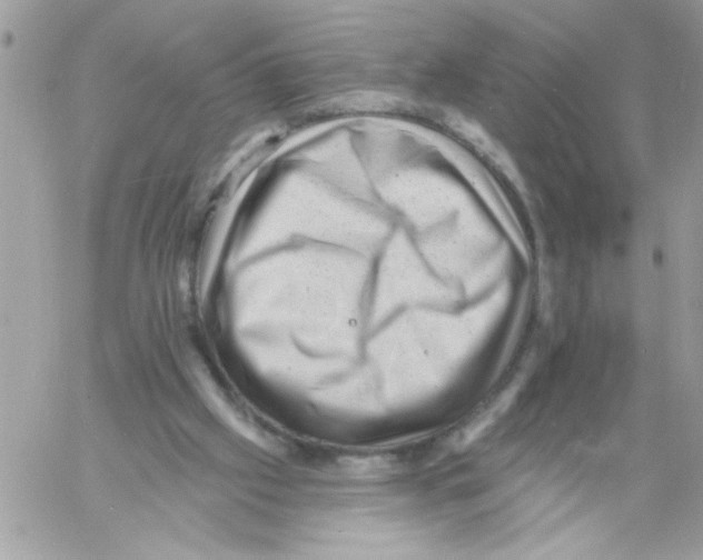 X0000061730057200512302156