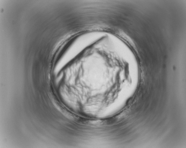 X0000061730059200512302156