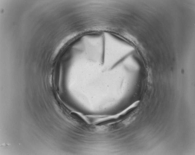 X0000061730060200512302156