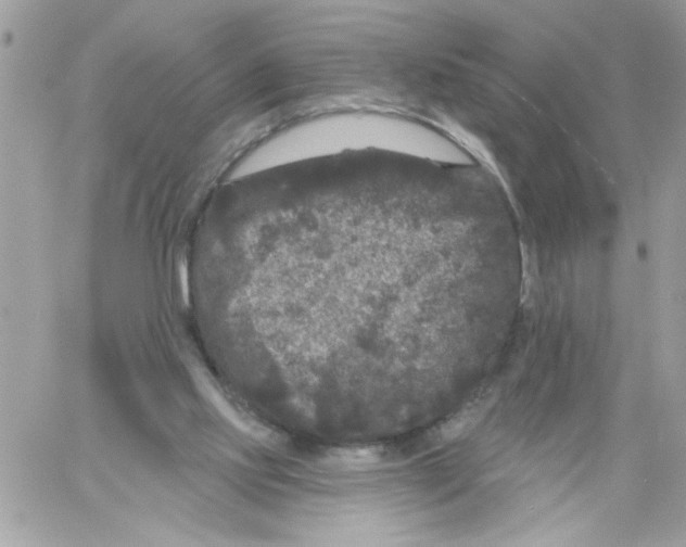 X0000061730061200512302156