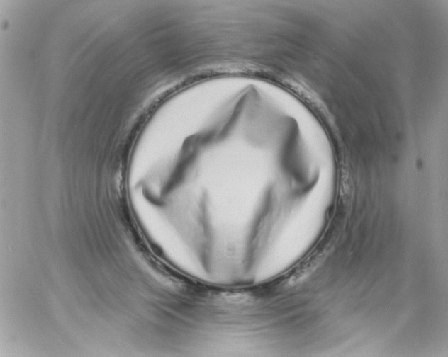 X0000061730063200512302156