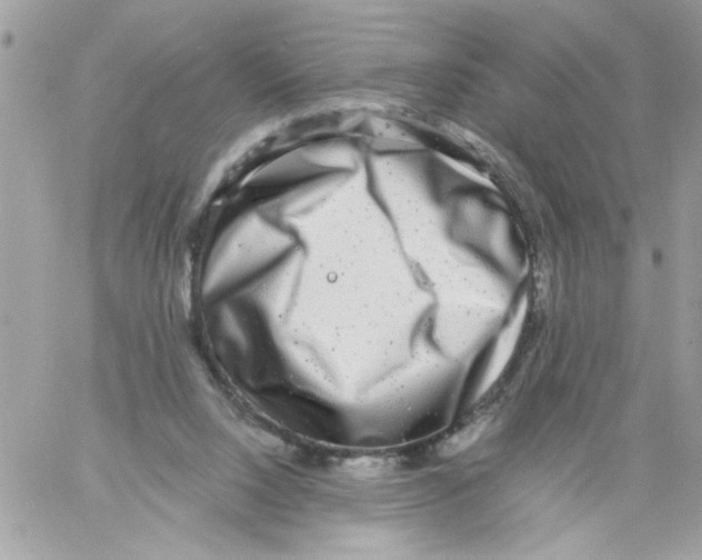 X0000061730064200512302156