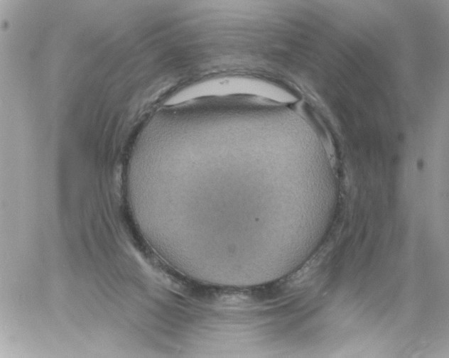 X0000061730066200512302156