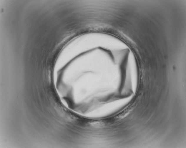 X0000061730067200512302156