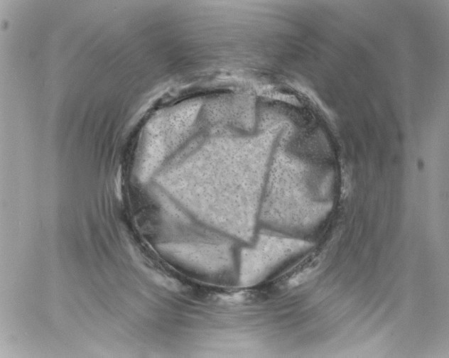 X0000061730068200512302156