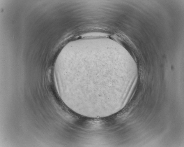 X0000061730071200512302156