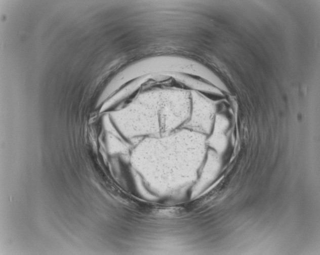 X0000061730072200512302156