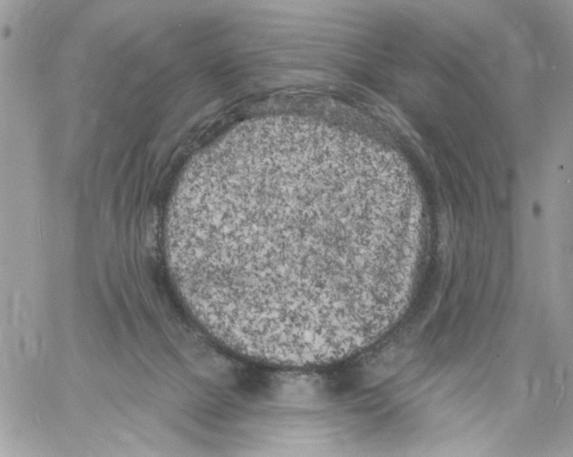 X0000061730073200512302156