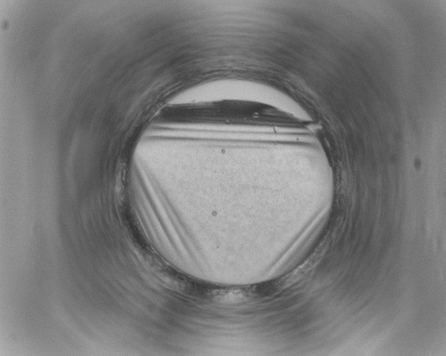 X0000061730074200512302156