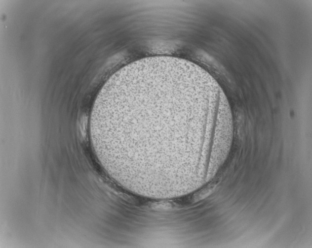 X0000061730075200512302156