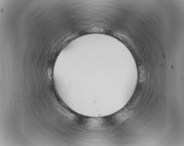 X0000061730077200512302156