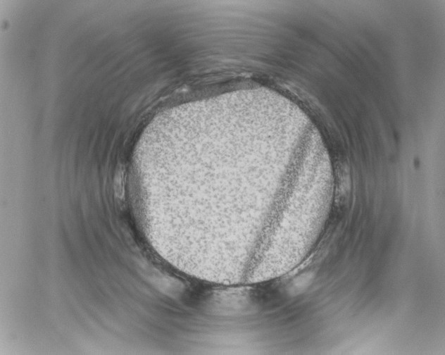 X0000061730078200512302156