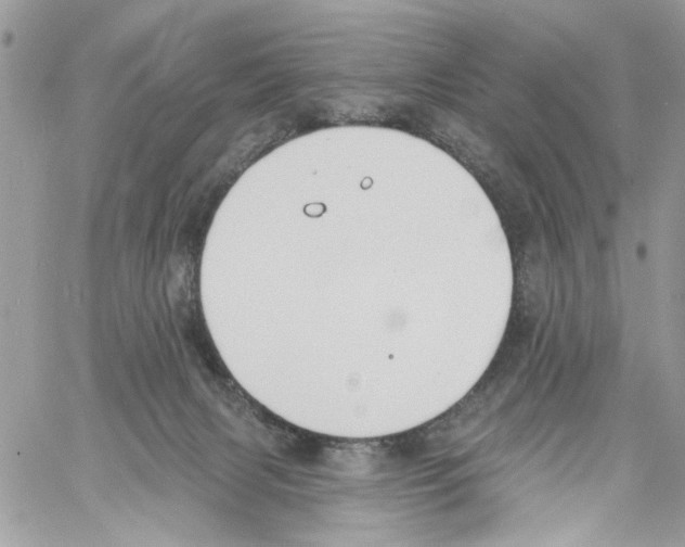 X0000061730079200512302156