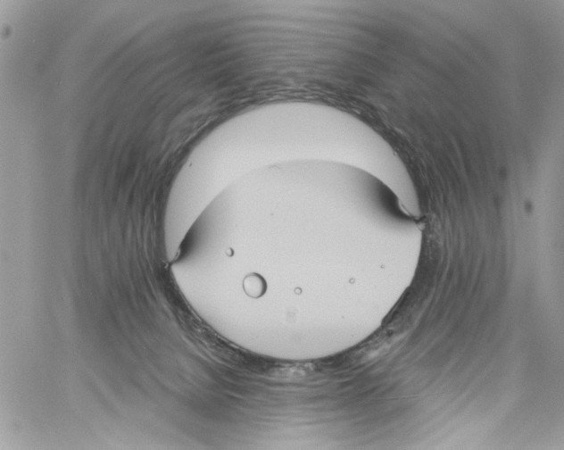 X0000061730080200512302156