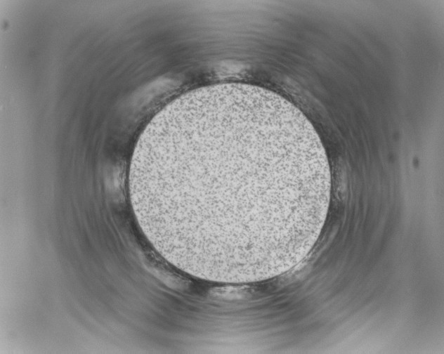 X0000061730082200512302157