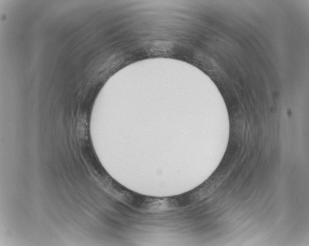 X0000061730083200512302157