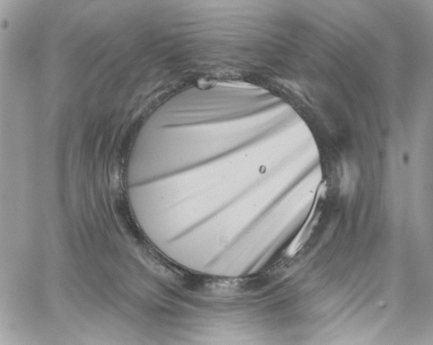 X0000061730084200512302157