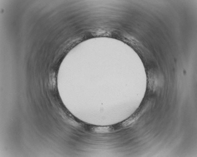 X0000061730085200512302157