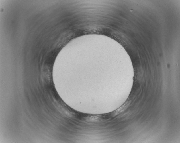 X0000061730086200512302157