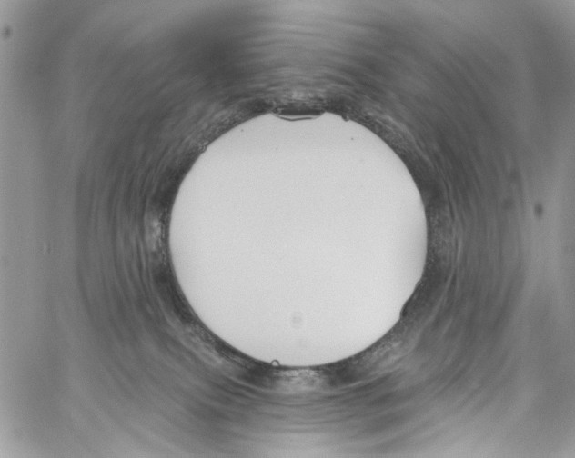 X0000061730087200512302157