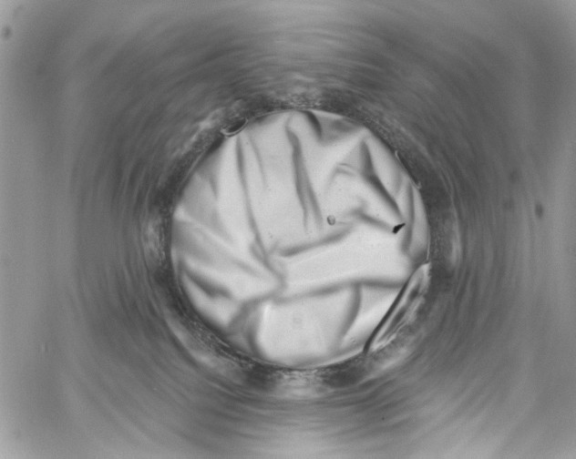 X0000061730088200512302157