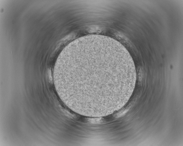 X0000061730089200512302157