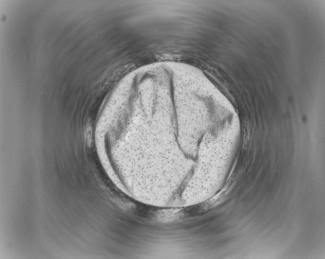 X0000061730090200512302157