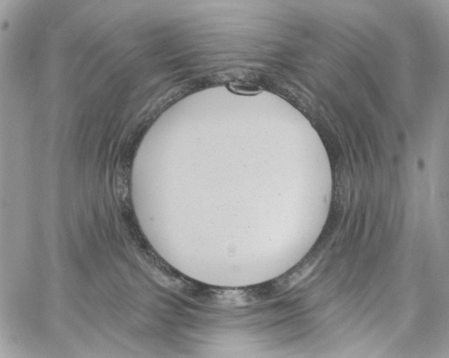 X0000061730091200512302157