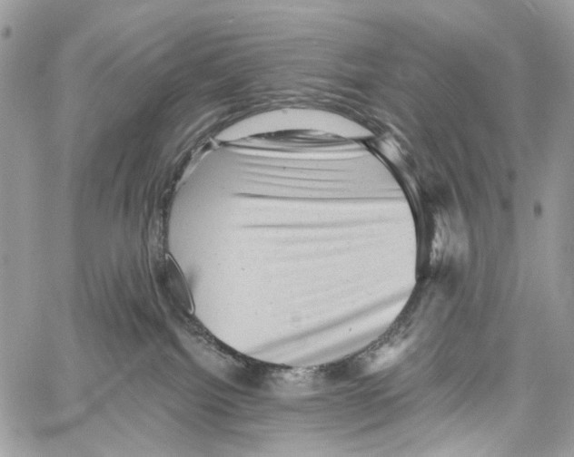 X0000061730092200512302157