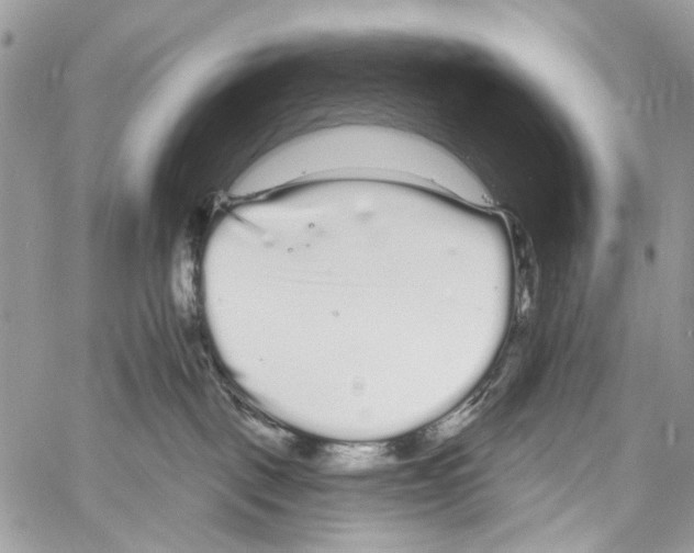 X0000061730093200512302157