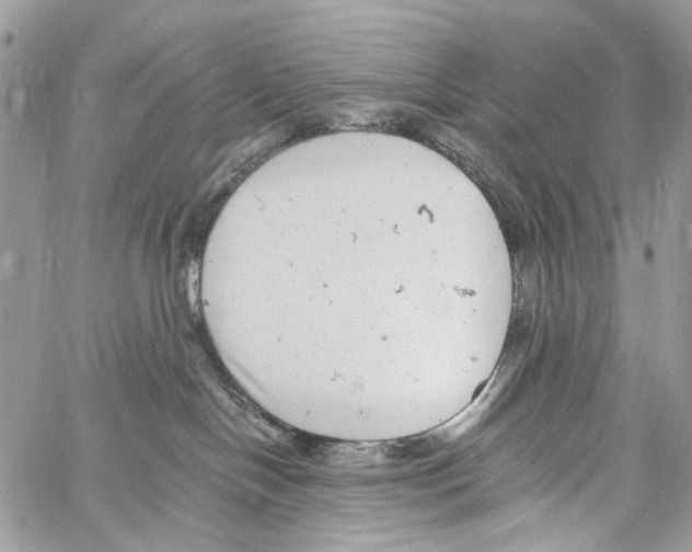 X0000061730094200512302157