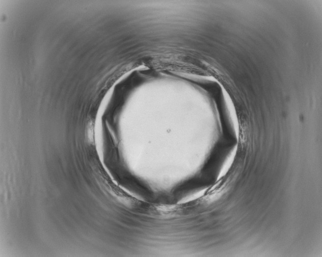 X0000061730095200512302157