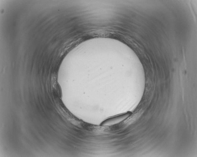 X0000061730096200512302157