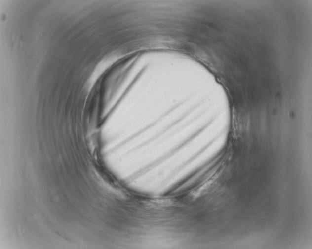 X0000061730099200512302156