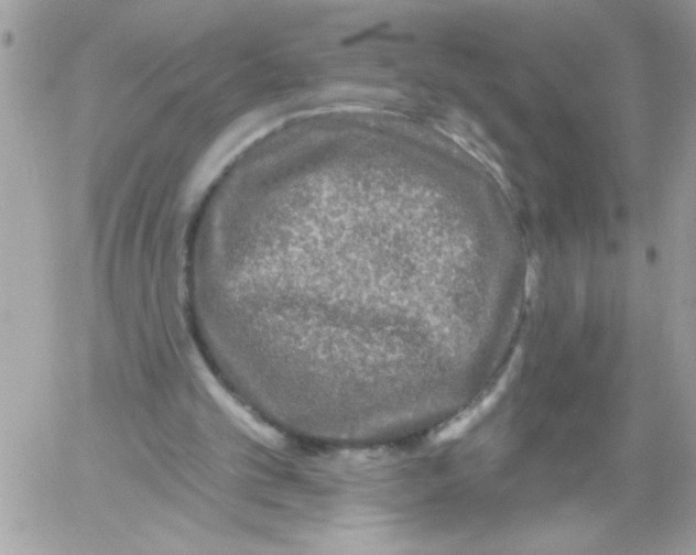 X0000061730101200512302156